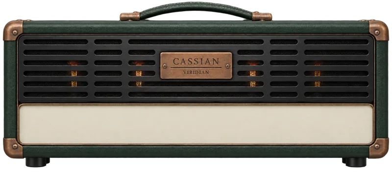 Viridian amplifier head